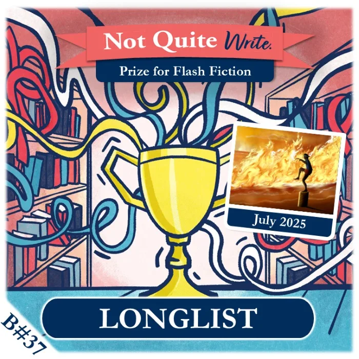 Longlist – July 2025 Not Quite Write Prize